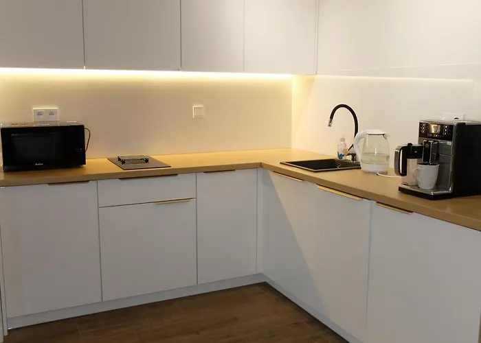 Tolka Z Balkonem I Garazem Podziemnym Gratis Apartment *